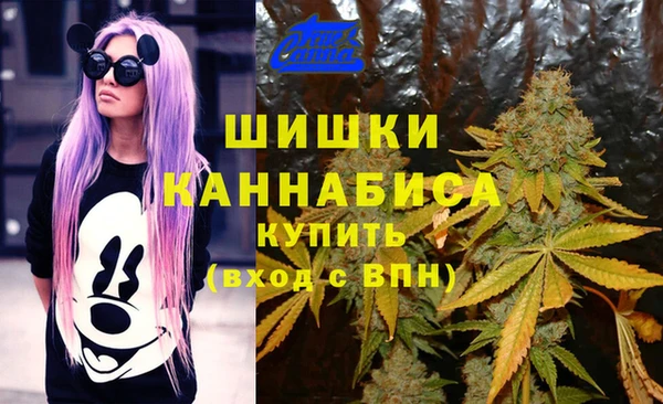 стафф Абдулино