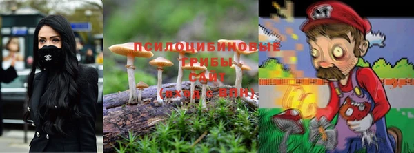 стафф Абдулино