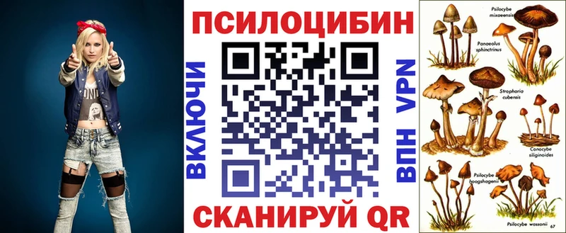 Галлюциногенные грибы MAGIC MUSHROOMS  Серафимович 
